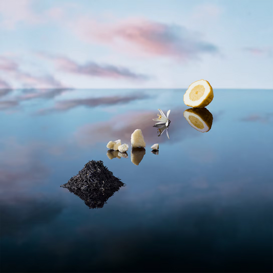 Imagination