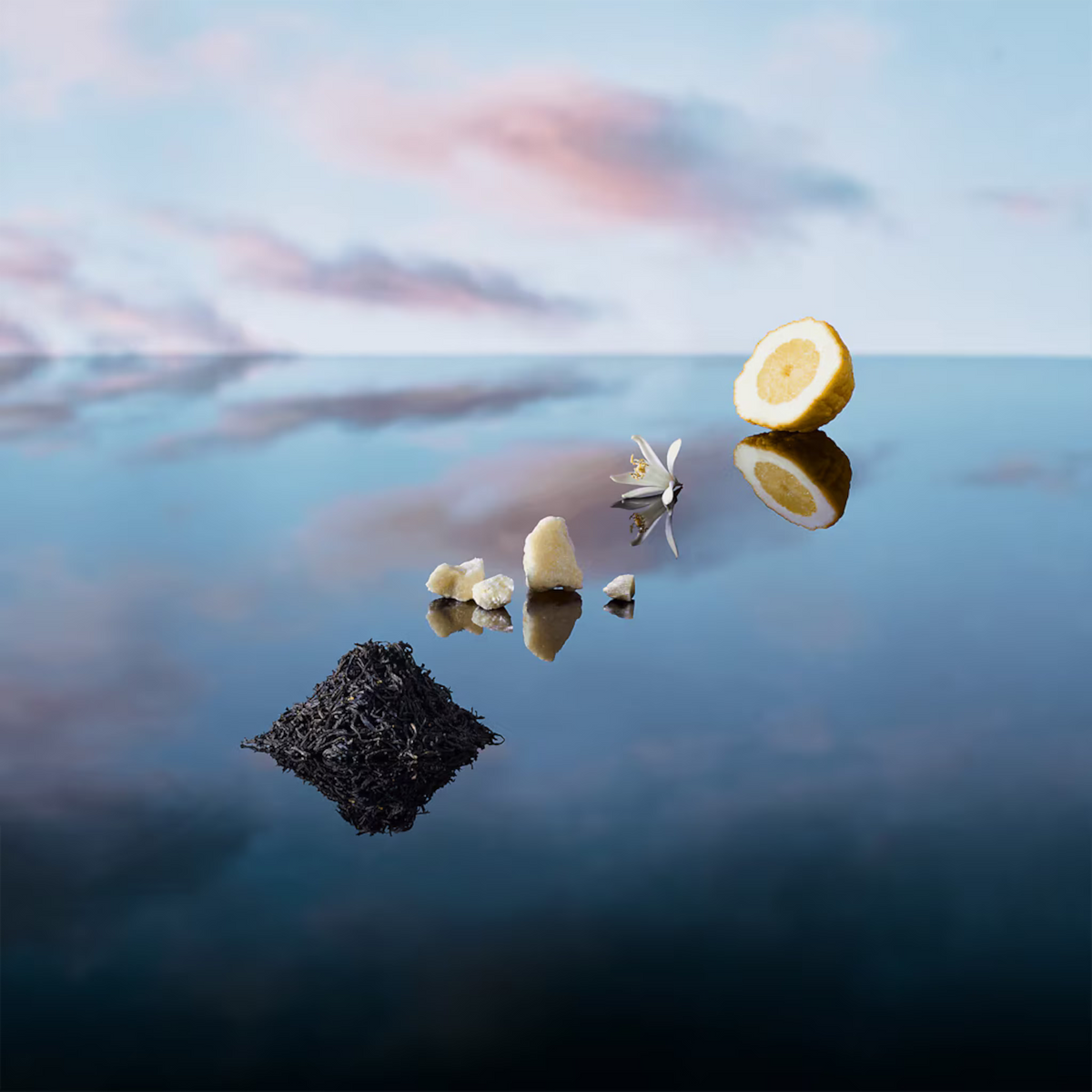 Imagination